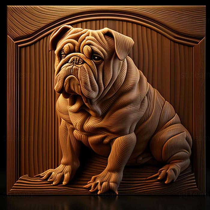 Animals English Bulldog dog